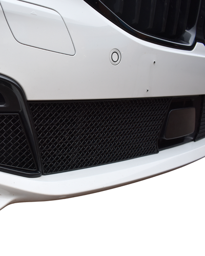 Zunsport BMW F40 1 Series M-Sport / BMW F40 M135i Centre Grille Set