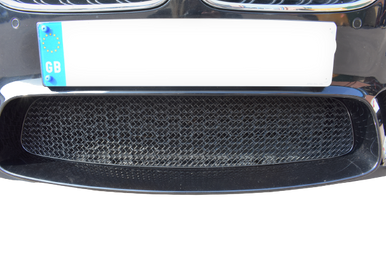 Zunsport BMW M5 F10 - Centre Grille - Standard