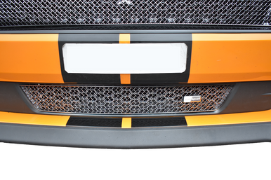 Zunsport Ford Mustang GT Facelift - Lower Grille - Standard