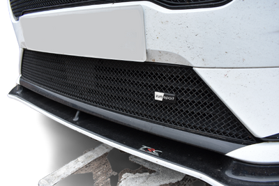 Zunsport Ford Fiesta ST LINE MK8 - Lower Grille