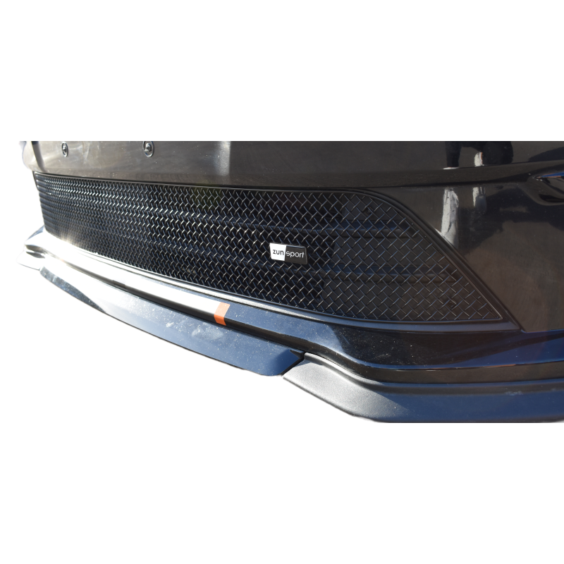 Zunsport Ford Transit Connect Facelift - Lower Grille