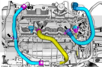 Fiesta ST180 PCV/Oil Separator Hose