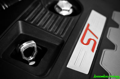 2013 + Ford Focus ST Aluminum Dipstick Handle
