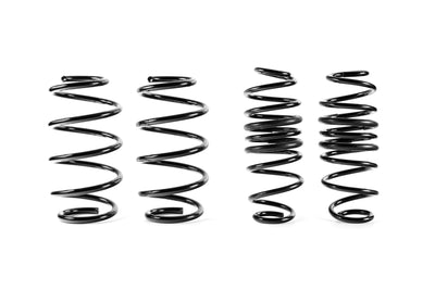 SD Performance springs Fiesta mk8 ST