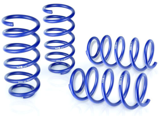 H&R lowering springs Fiesta ST180