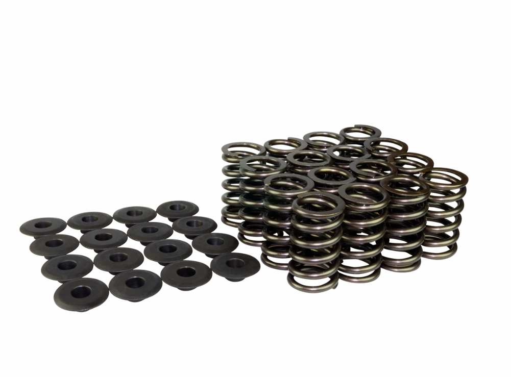 Focus ST stage 1 camshaft kit